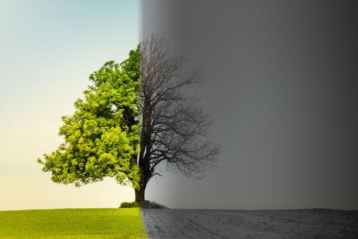 Get + Adjective ESL Lesson Plan